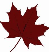 Image result for Red Leaf Logo