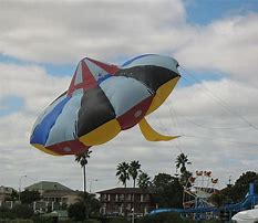 Image result for Inflatable Kite Cat