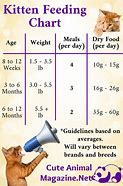 Image result for Cat Feeding Chart by Weight