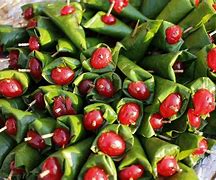 Image result for Paan India