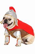 Image result for Gladiator Dog