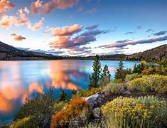 Image result for June Landscape