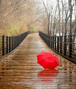 Image result for Raining Day Pictures