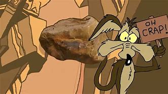 Image result for Willie Coyote Crash