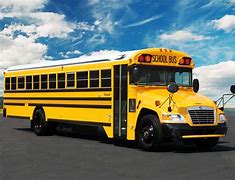 Image result for Blue Bird Vision School Bus Green