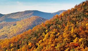 Image result for Blue Ridge Parkway TN