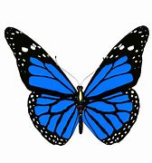 Image result for Red Butterfly Animated