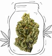 Image result for OG Kush CBD