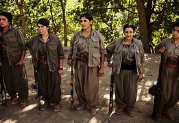 Image result for Kurdish PKK Sources