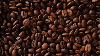 Image result for Kaffee Beans Portrait