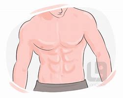 Image result for Six Pack HandsUp