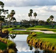 Image result for Florida Golfing