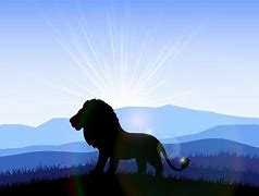 Image result for Lion Habitat Meme