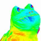 Image result for Rainbow Dancing Frog