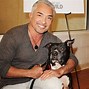 Image result for Cesar Millan Pit Bull