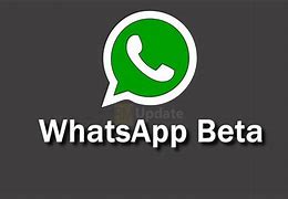 Image result for WhatsApp Beta Apk