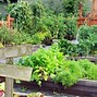 Image result for Roof Deck Garden Design