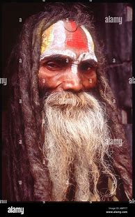 Image result for Sadhu Himalaya