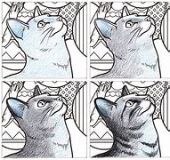 Image result for Cat Shading