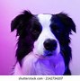 Image result for RGB Neon Boarder