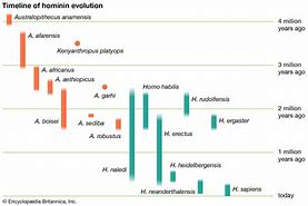 Image result for Lower Paleolithic