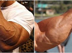 Image result for Ripped Forearms