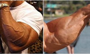 Image result for Ripped Forearms