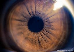 Image result for Macro Eye Photography African American