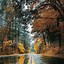 Image result for Road Wallpaper iPhone