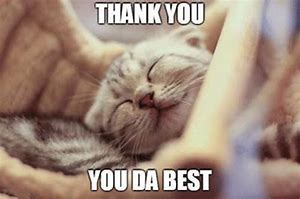 Image result for You Are the Best Cute Meme