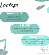 Image result for Lactose