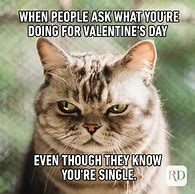 Image result for Love Valentine's Day Memes