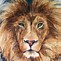 Image result for Simple Lion Drawing Pencil