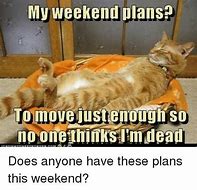 Image result for Holiday Plans Meme