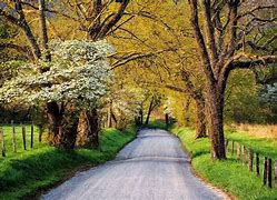 Image result for Spring Evening in the Country