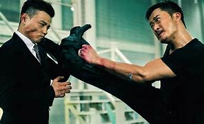 Image result for Wu Jing Action Movies