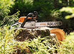 Image result for 50Cc Stihl Chainsaw