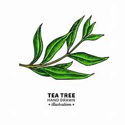 Image result for Tea Leaf Drawing