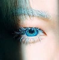 Image result for Felix Your Eyes Sene