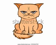 Image result for Anime Cat Mad