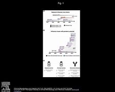 Image result for Influenzavirus A