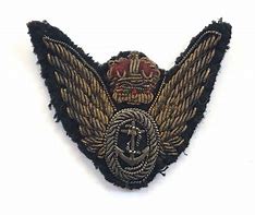 Image result for Fleet Air Arm Observer Badge