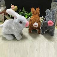 Image result for Rabbit with Toy