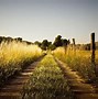 Image result for Beautiful Summer Country Backgrounds