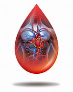 Image result for Heart Shaped Blood Drop