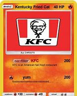 Image result for Kentucky Fried Cat