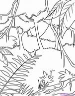 Image result for Jungle Bird Drawing