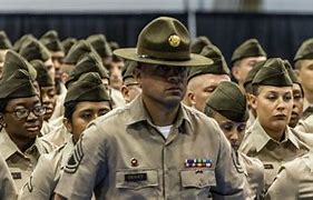 Image result for Drill Sergeant PT Army