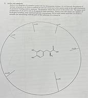 Image result for Active Site Diagram