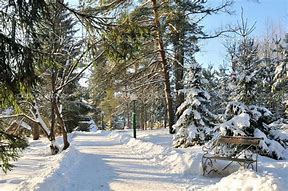 Image result for Wintery Thursday